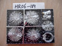 hr06-189.jpg